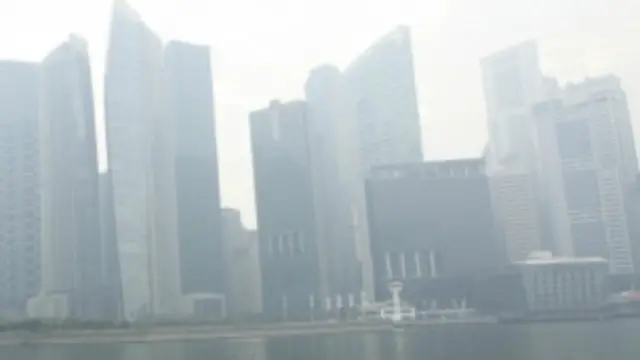 Singapura Surati Tujuh Perusahaan di Indonesia yang Diduga Terkait Karhutla