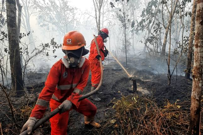 Pemerintah Perluas Penindakan Karhutla, Puluhan Perusahaan Terancam Sanksi Hukum