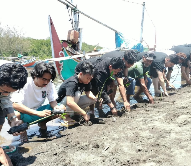 BEM SI dan KNPI Probolinggo Tanam 500 Mangrove di Pantai Duta