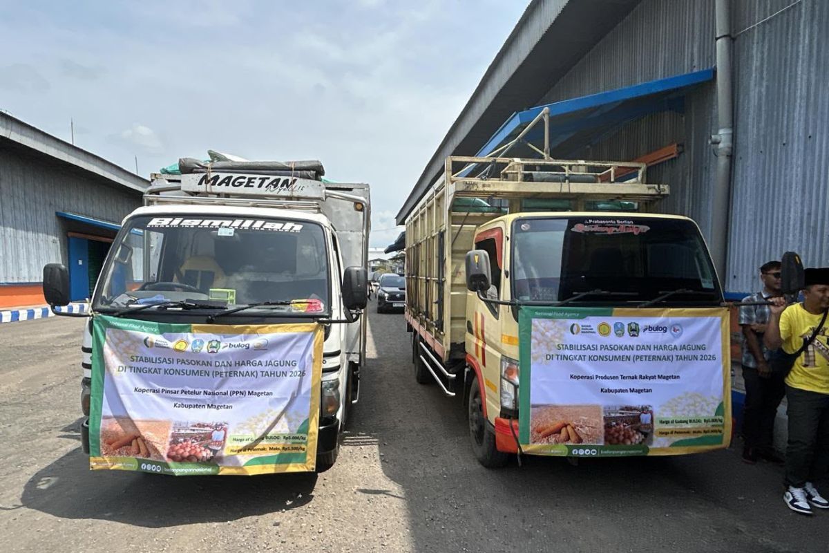 Bulog Jatim Percepat Penyaluran Jagung SPHP, Stok 6.437 Ton Siap Dukung Peternak